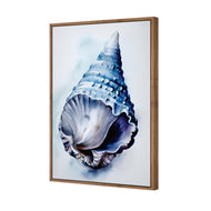 Watercolour Shell II