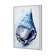 Watercolour Shell II