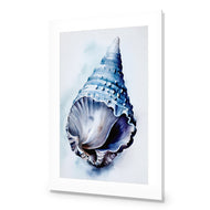 Watercolour Shell II