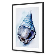 Watercolour Shell II