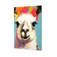 Llama Fiesta