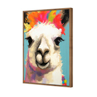 Llama Fiesta