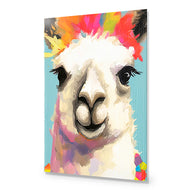 Llama Fiesta