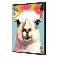 Llama Fiesta