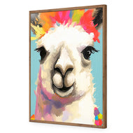 Llama Fiesta