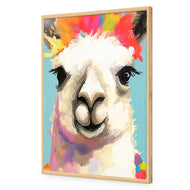 Llama Fiesta