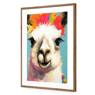 Llama Fiesta
