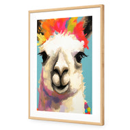 Llama Fiesta