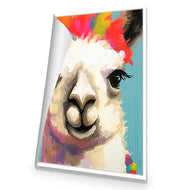 Llama Fiesta