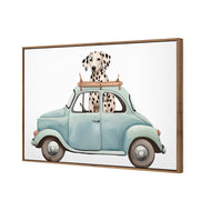 Dog in Car