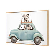 Dog in Car