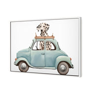 Dog in Car