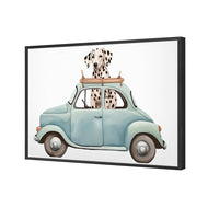 Dog in Car