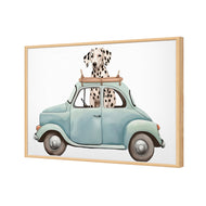 Dog in Car