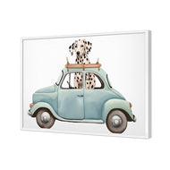 Dog in Car