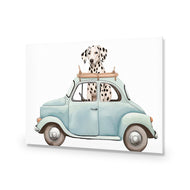 Dog in Car