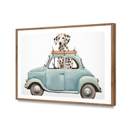 Dog in Car