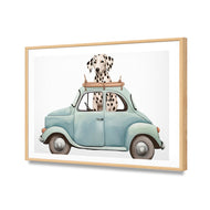 Dog in Car