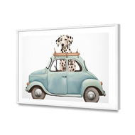 Dog in Car