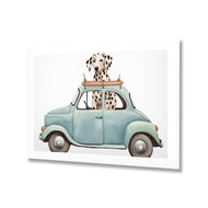 Dog in Car