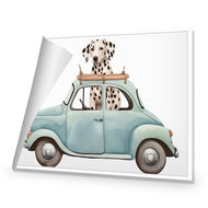 Dog in Car