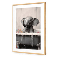 Elephant Bathtime II