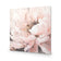 Peonies in Bloom II