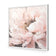 Peonies in Bloom II