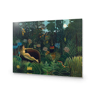 Henri Rousseau - The dream