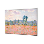 Poppy Field