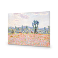 Poppy Field