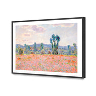 Poppy Field