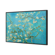 Blossoming Almond Tree (Shelved)