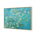Blossoming Almond Tree (Shelved)