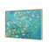 Blossoming Almond Tree (stock)
