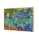 Irises (shelved)