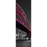Sydney Harbour Bridge over City