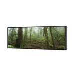 Mossy Rainforest
