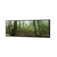 Mossy Rainforest