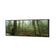 Mossy Rainforest