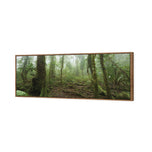 Mossy Rainforest