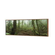 Mossy Rainforest