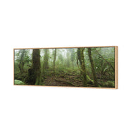Mossy Rainforest