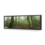 Mossy Rainforest