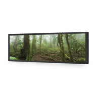 Mossy Rainforest