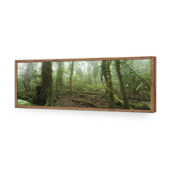 Mossy Rainforest