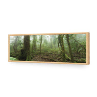 Mossy Rainforest
