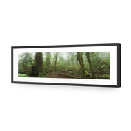 Mossy Rainforest