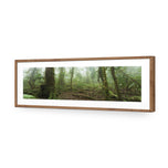 Mossy Rainforest