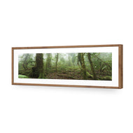 Mossy Rainforest